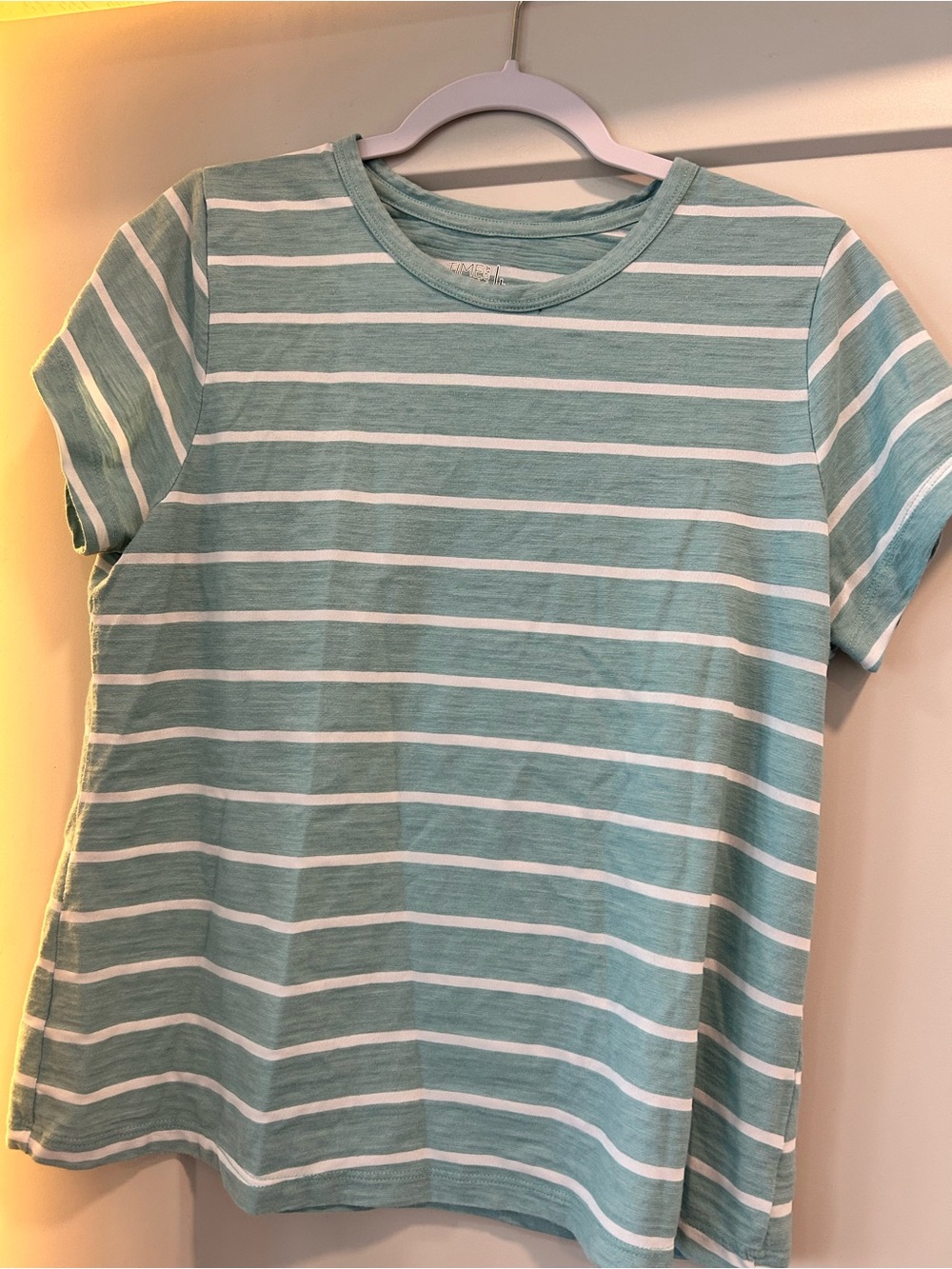 Time and Tru Light Teal and White Striped Short Sleeve Tee